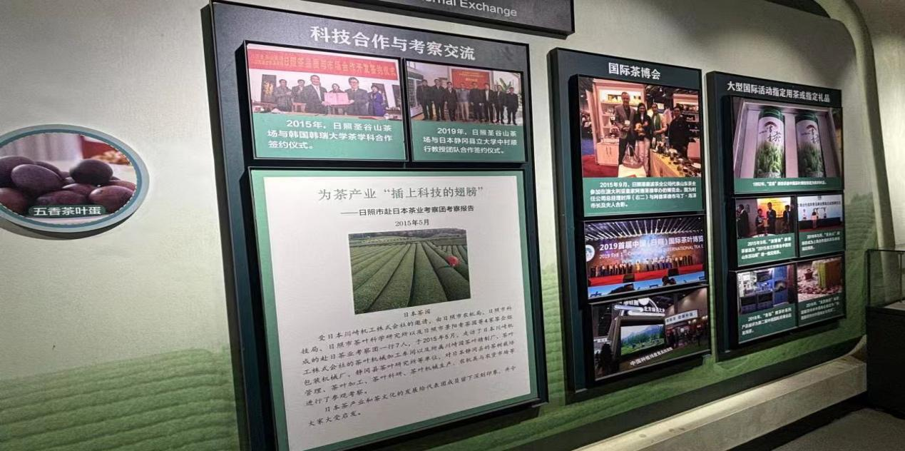 <strong>茶香漫山野：青年学子探访日照岚山茶叶产业融合路</strong>