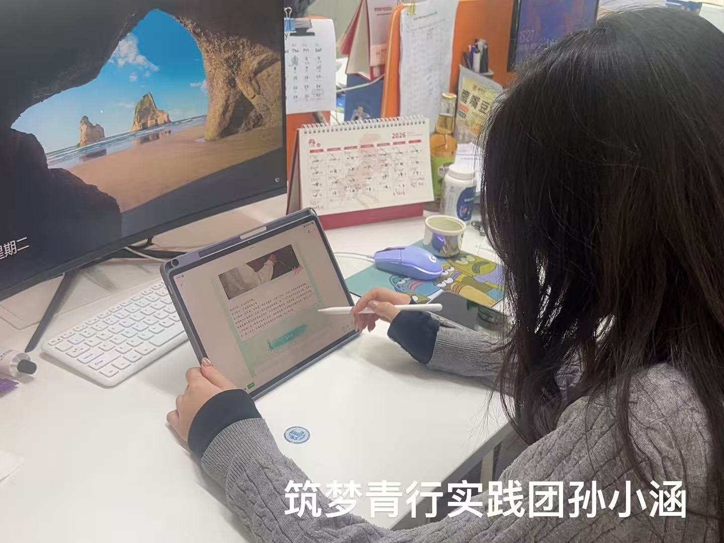 <strong>青行助振兴 实干显担当</strong>